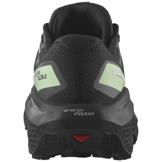 Salomon Ultra Flow 2 GTX